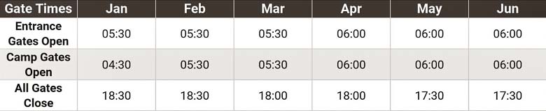 The Kruger National Park Gate Times