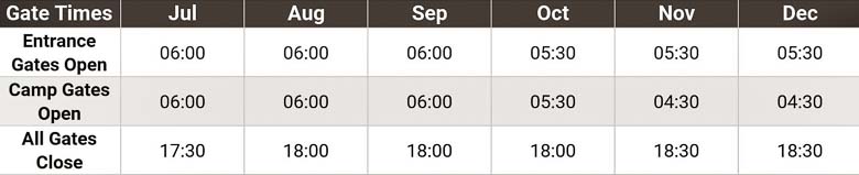 The Kruger National Park Gate Times
