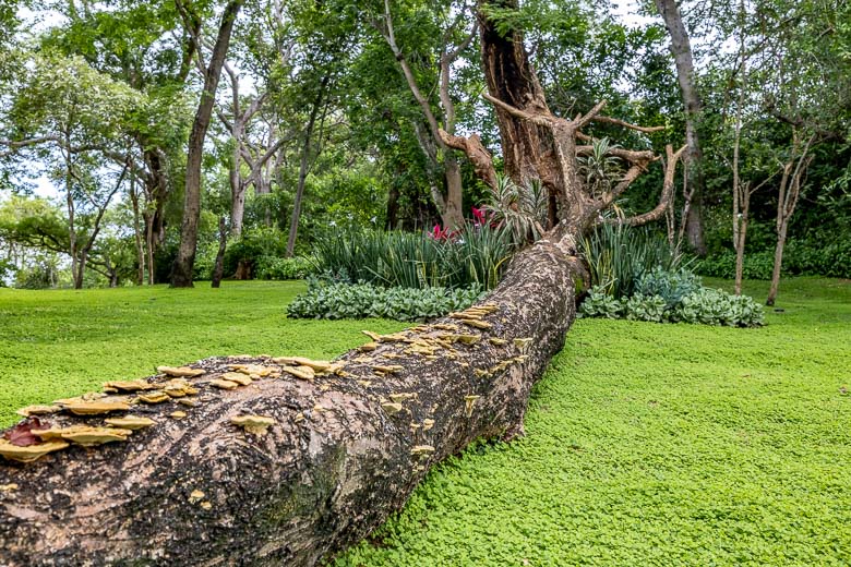 Sanbonani Hotel, Resport & Spa